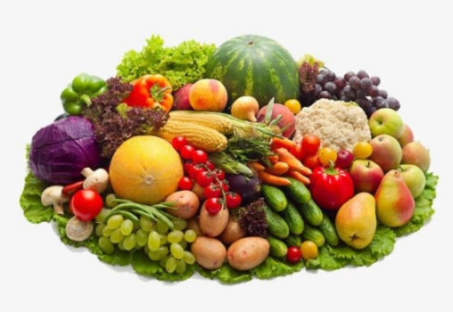 垃圾分類后濕垃圾怎么處理好?