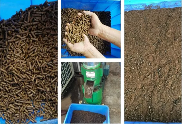 垃圾“圍城” ，易腐垃圾資源化處理成為突破口