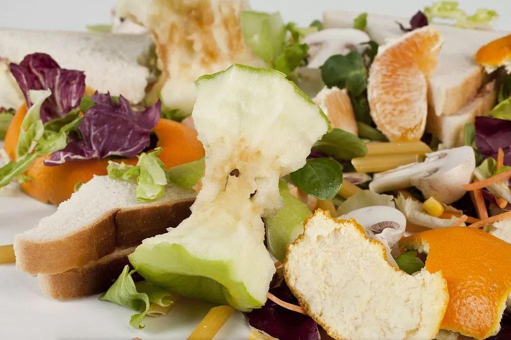 廚余垃圾 廚余垃圾